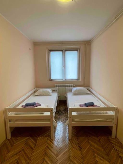 Bg Sunflower Apartment 베오그라드 외부 사진