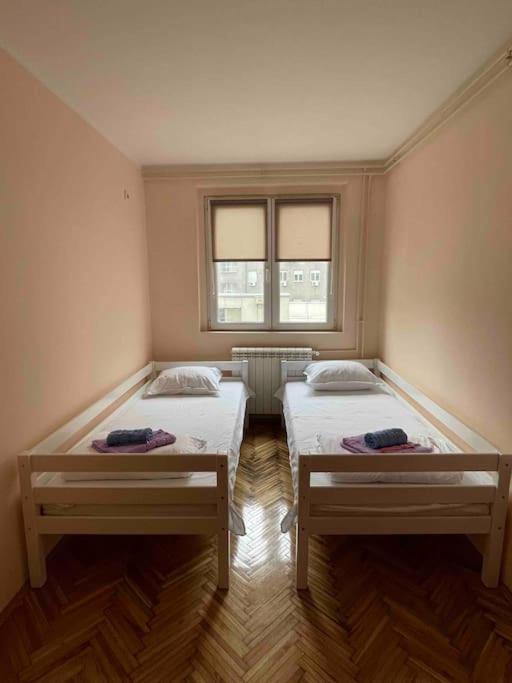 Bg Sunflower Apartment 베오그라드 외부 사진