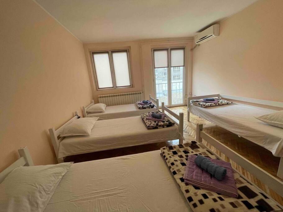 Bg Sunflower Apartment 베오그라드 외부 사진