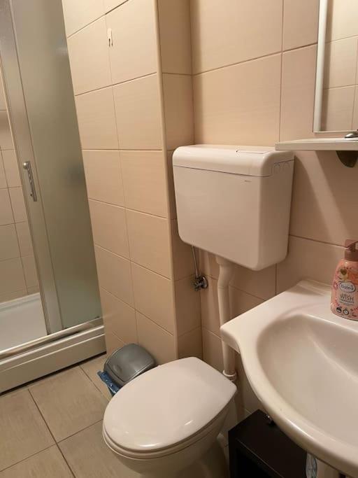 Bg Sunflower Apartment 베오그라드 외부 사진